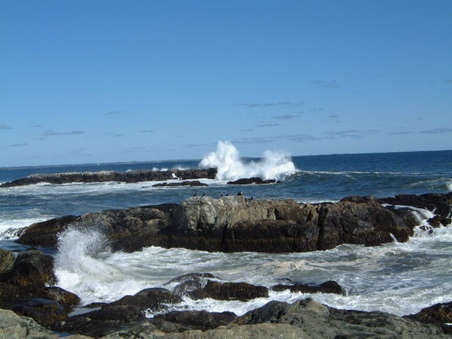 Enlarge photo 35