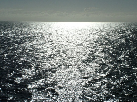 Enlarge photo 36