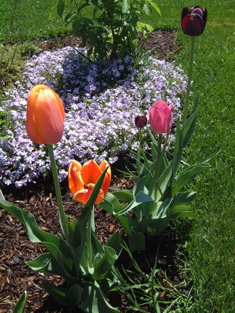 Enlarge photo 41