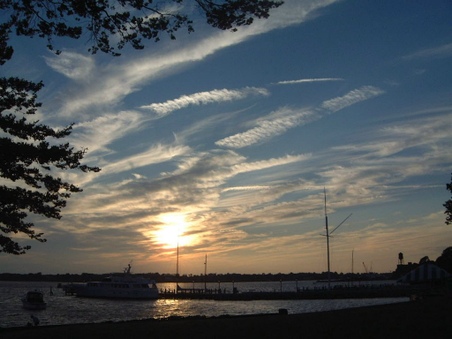 Enlarge photo 42