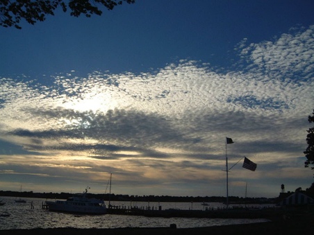 Enlarge photo 47