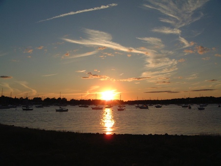 Enlarge photo 51