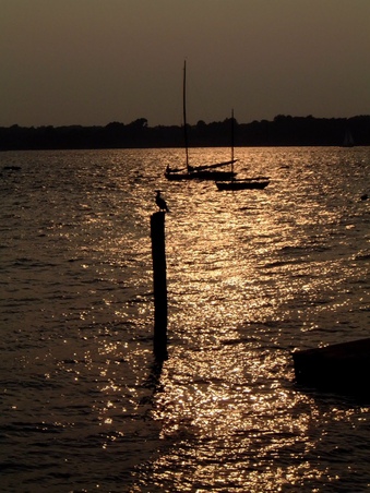 Enlarge photo 58