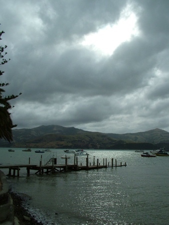Enlarge photo 59