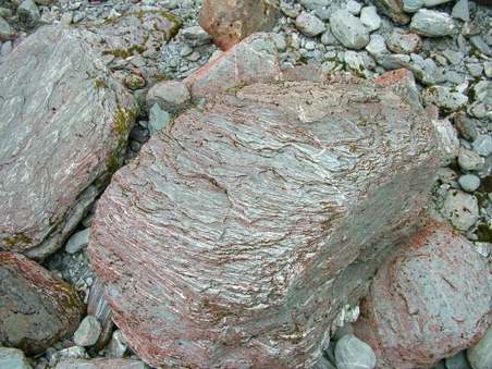 Enlarge photo 62