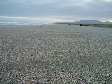 Enlarge photo 67