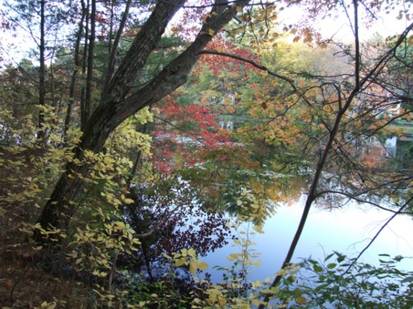 Enlarge photo 73
