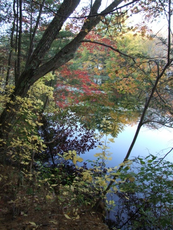 Enlarge photo 75