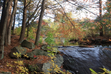 Enlarge photo 109