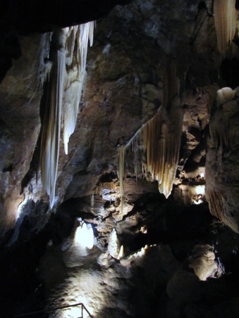 Enlarge photo 121
