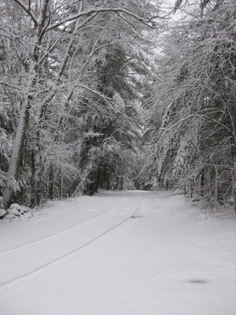 Enlarge photo 113