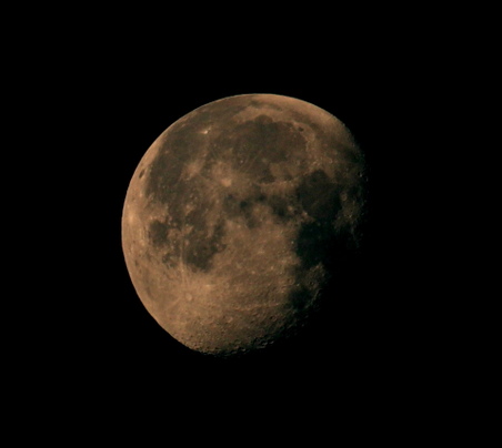 Enlarge photo 2