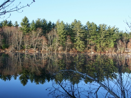 Enlarge photo 111