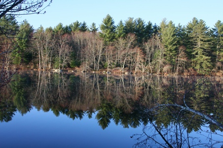 Enlarge photo 110