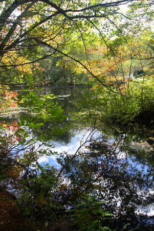 Enlarge photo 193