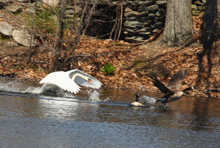 Enlarge photo 114