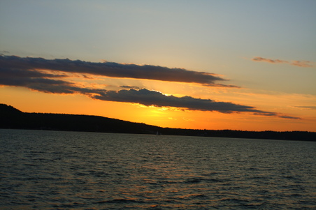 Enlarge photo 178