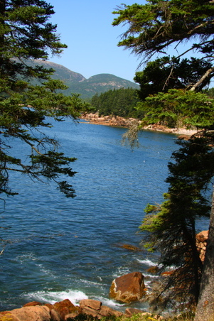 Enlarge photo 183