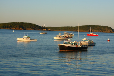 Enlarge photo 187
