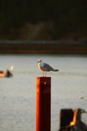 Enlarge photo 189
