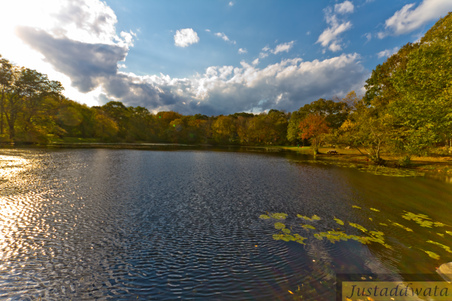 Enlarge photo 38