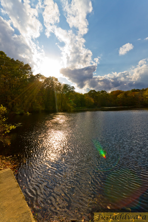 Enlarge photo 39