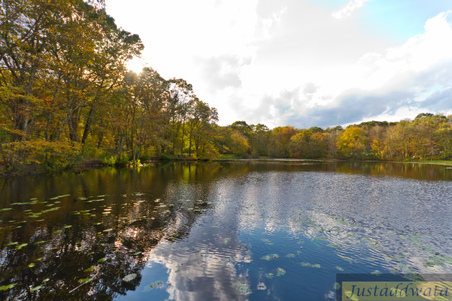 Enlarge photo 42