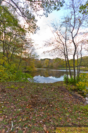 Enlarge photo 45