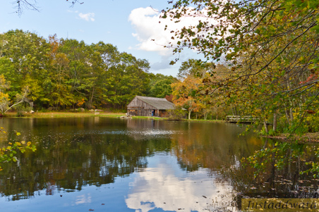Enlarge photo 48
