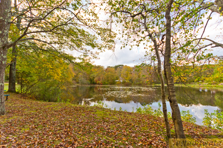 Enlarge photo 51