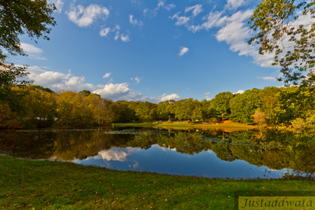 Enlarge photo 52
