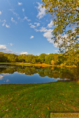 Enlarge photo 53