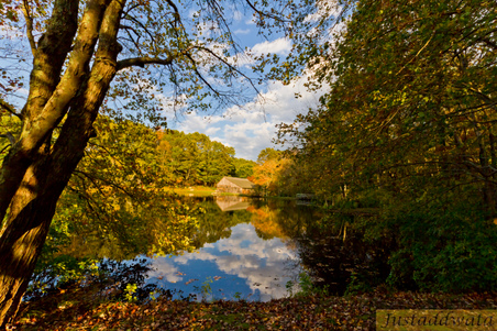 Enlarge photo 54