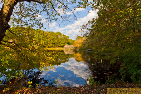 Enlarge photo 56