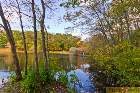 Enlarge photo 57