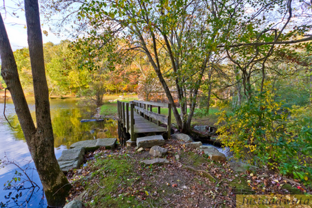 Enlarge photo 58