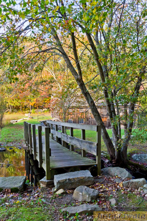 Enlarge photo 59