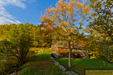 Enlarge photo 65