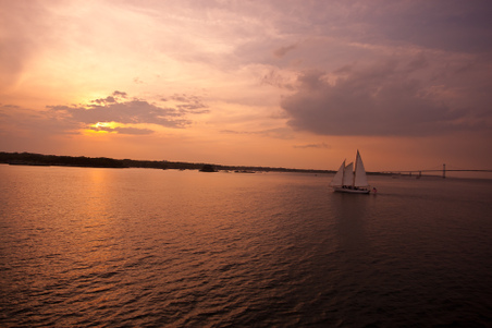 Enlarge photo 34