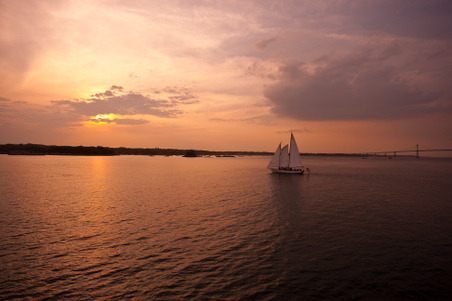 Enlarge photo 35