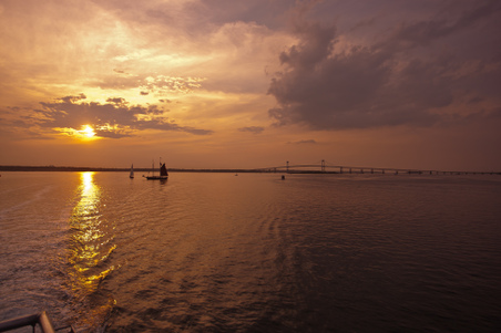 Enlarge photo 40