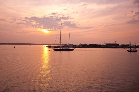 Enlarge photo 42