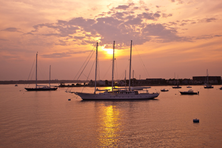 Enlarge photo 44