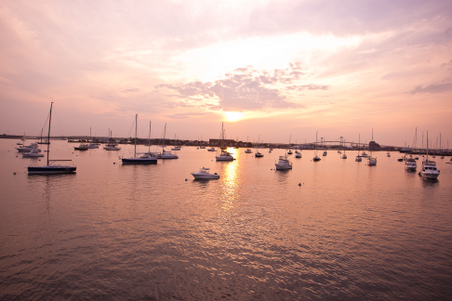 Enlarge photo 45
