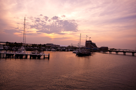 Enlarge photo 49