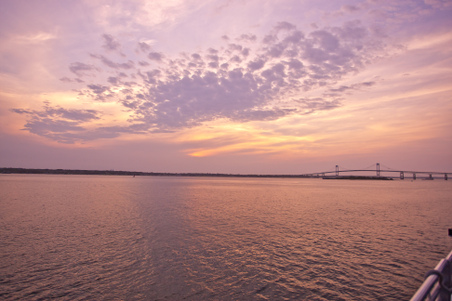 Enlarge photo 82