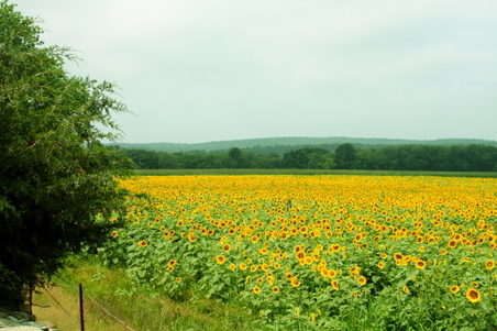 Enlarge photo 9