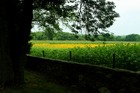 Enlarge photo 41