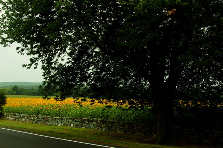 Enlarge photo 57
