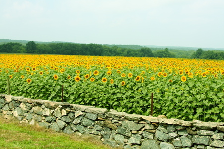 Enlarge photo 82